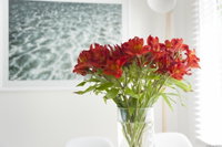 Book Kingston Beach Accommodation Vacations Events Australia Events Australia