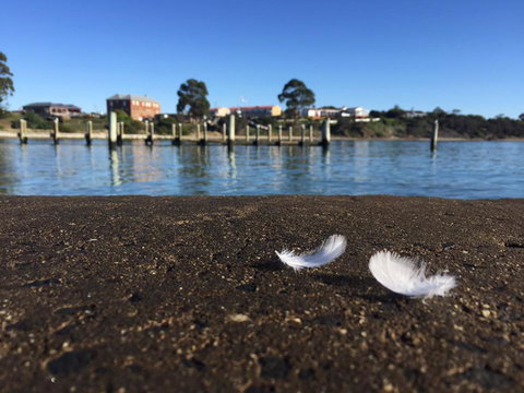 Swansea Holiday Park Tasmania - Events Australia 39