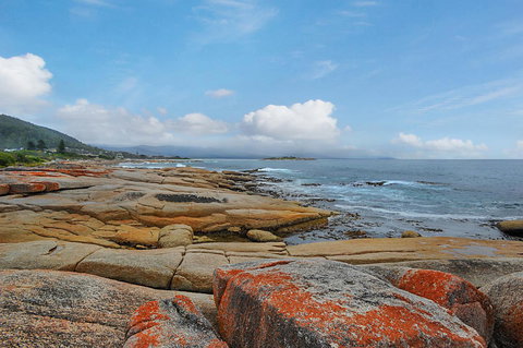 Harvey Farm Lodge - Accommodation Europe 2