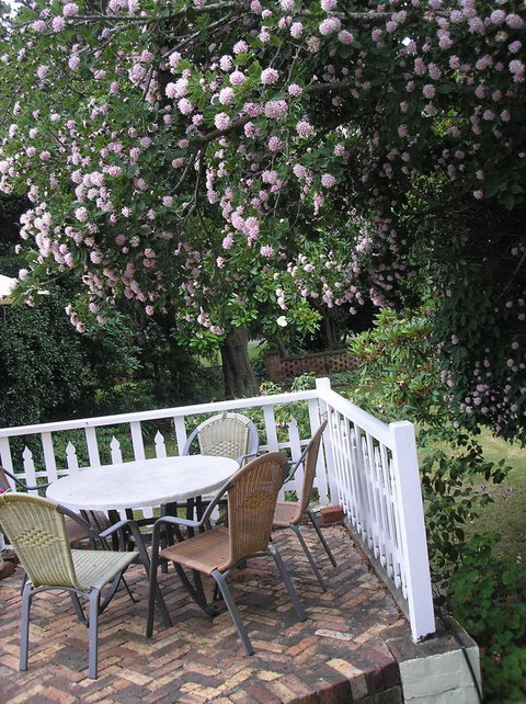 Anabel\'s Of Scottsdale - Events Australia 33