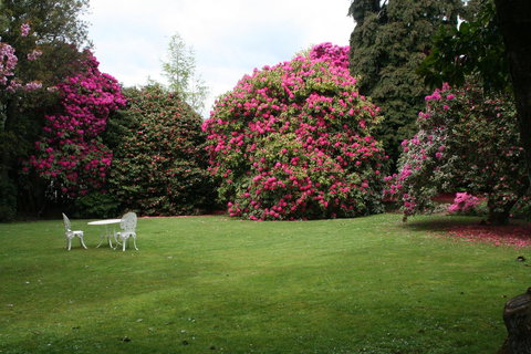 Anabel\'s Of Scottsdale - Events Australia 39