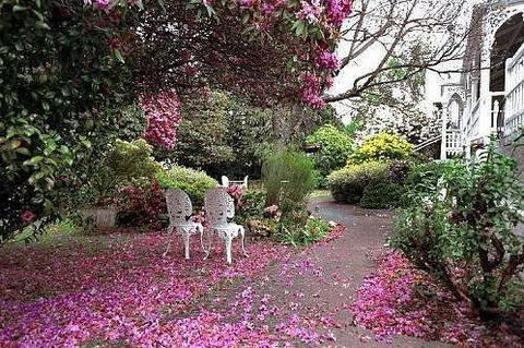 Anabel\'s Of Scottsdale - Events Australia 36