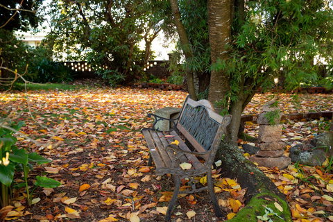 Anabel\'s Of Scottsdale - Events Australia 38