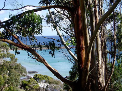 Seascape Beach House - Events Australia 8