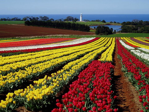 Seascape Beach House - Events Australia 27