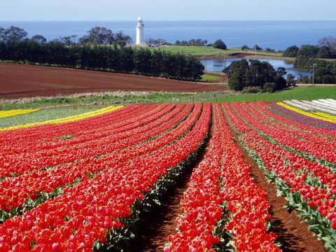 Seascape Beach House - Events Australia 26