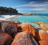 Homelea Accommodation - Tourism Bookings