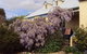 Orford's Sanda House B&B - thumb 40