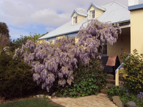 Orford's Sanda House B&B - Events Australia 40