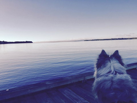 Wandering Geese Boutique Bed And Breakfast - Accommodation Europe 21