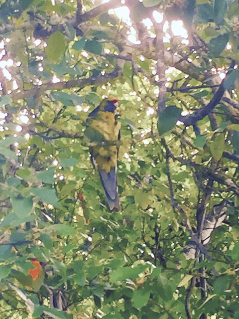 Wandering Geese Boutique Bed And Breakfast - Accommodation Europe 24