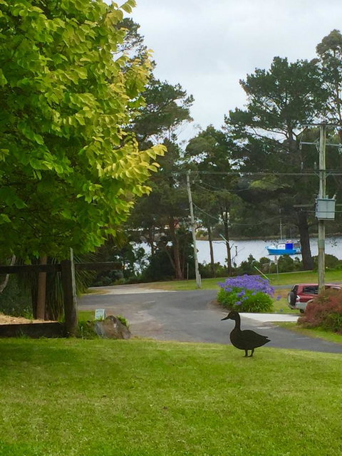 Wandering Geese Boutique Bed And Breakfast - Accommodation Europe 15