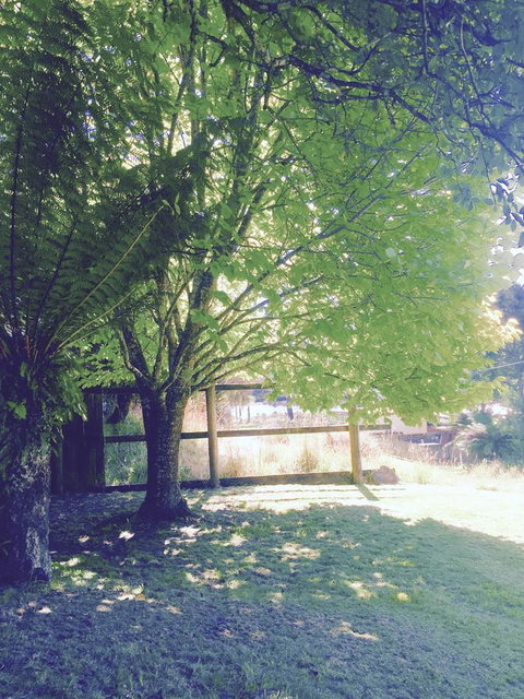 Wandering Geese Boutique Bed And Breakfast - Accommodation Europe 30