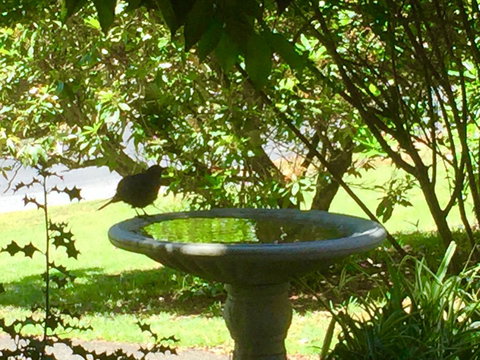 Wandering Geese Boutique Bed And Breakfast - Accommodation Europe 19