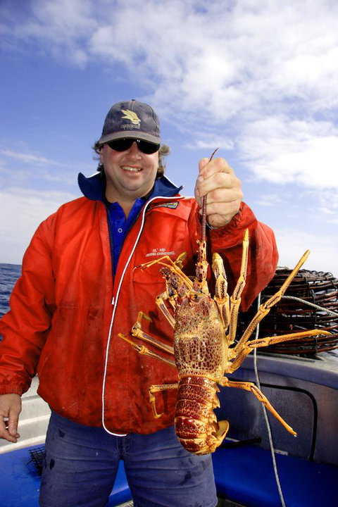 Horizon Deluxe Apartments - Accommodation Europe 15