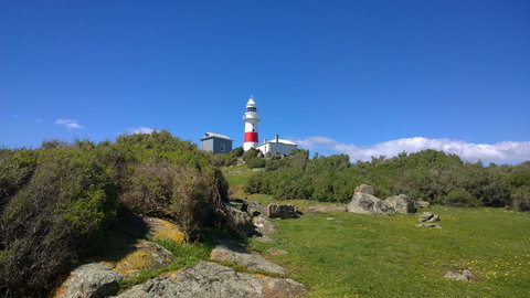 BIG4 Low Head Tourist Park - Events Australia 6