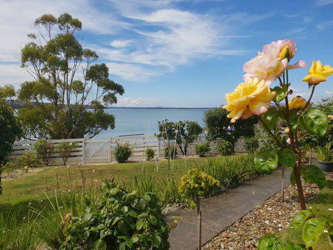 Garden By The Beach - Gateway To The East Coast, Close To Airport - Events Australia 23