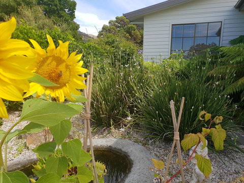 Garden By The Beach - Gateway To The East Coast, Close To Airport - Events Australia 13