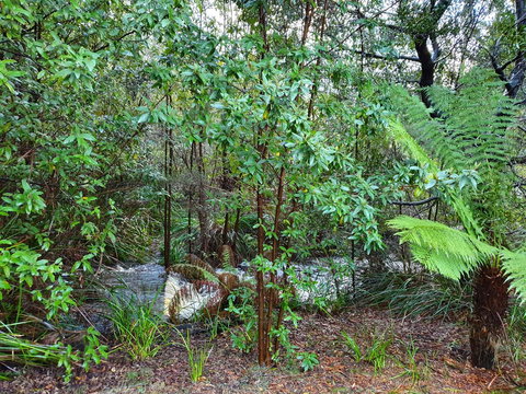 Roland B&B - Events Australia 12