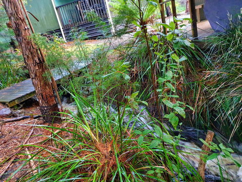 Roland B&B - Events Australia 17