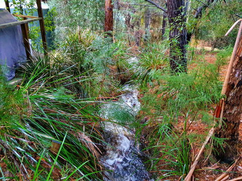 Roland B&B - Events Australia 22