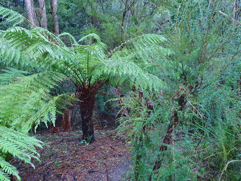 Roland B&B - Events Australia 21