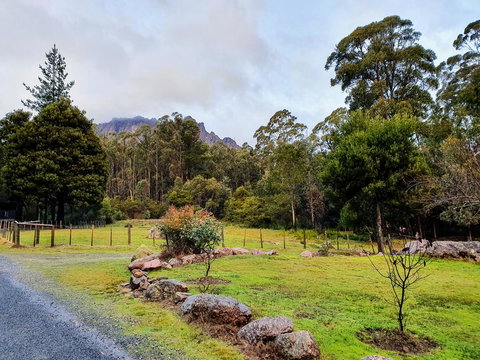 Roland B&B - Events Australia 19