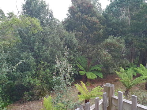 Roland B&B - Events Australia 41