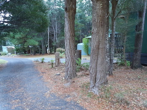 Roland B&B - Events Australia 43