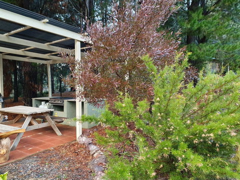 Roland B&B - Events Australia 15