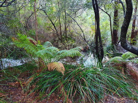 Roland B&B - Events Australia 29