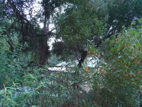 Roland B&B - Events Australia 44