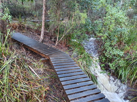 Roland B&B - Events Australia 28