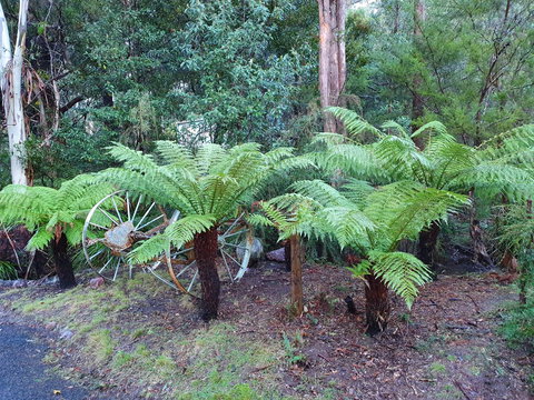 Roland B&B - Events Australia 33