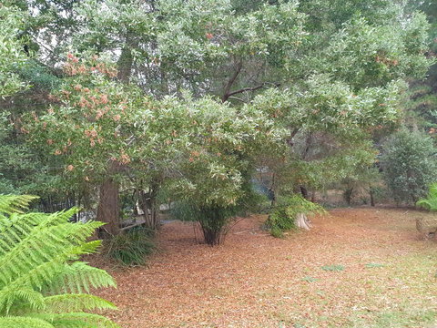 Roland B&B - Events Australia 40