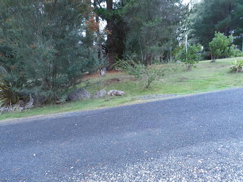 Roland B&B - Events Australia 24