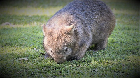 Roland B&B - Events Australia 26