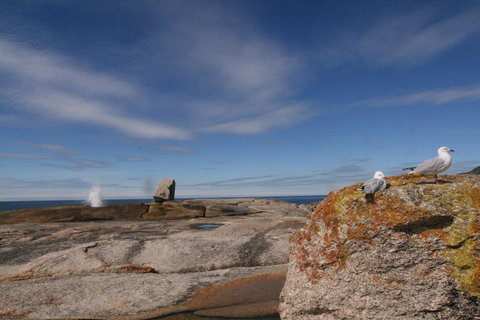 Suntrap Cove Bicheno - Events Australia 37