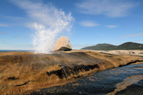 Suntrap Cove Bicheno - Events Australia 0