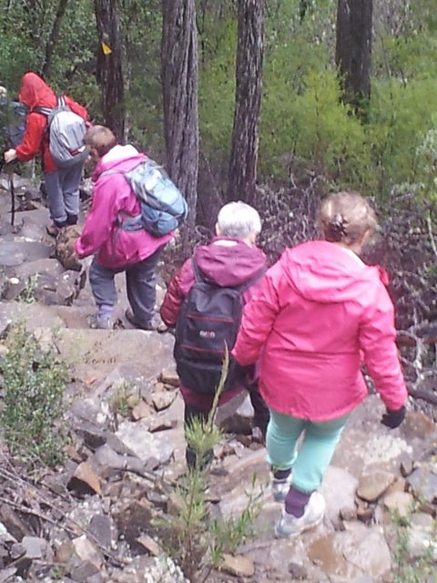 Suntrap Cove Bicheno - Events Australia 2