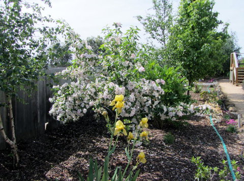 Elm Trees Accommodation @ Ross - Events Australia 7