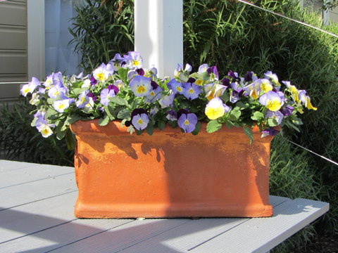 Elm Trees Accommodation @ Ross - Events Australia 27