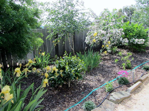 Elm Trees Accommodation @ Ross - Events Australia 6