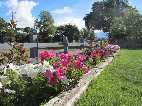 Elm Trees Accommodation @ Ross - Events Australia 24