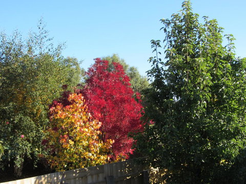 Elm Trees Accommodation @ Ross - Events Australia 21