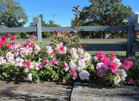 Elm Trees Accommodation @ Ross - Events Australia 25