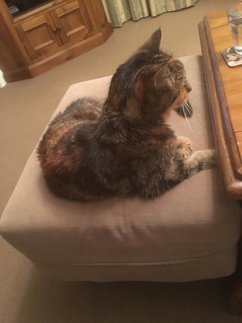 House On The Hill Bed And Breakfast - Events Australia 13