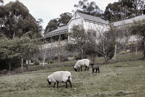 House On The Hill Bed And Breakfast - Events Australia 19
