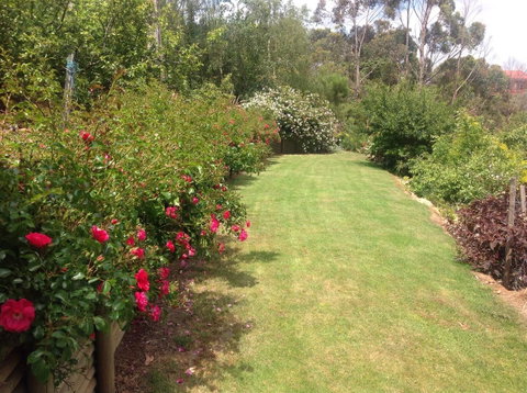 Sheer Pleasure Accommodation - Tourism Bookings 7