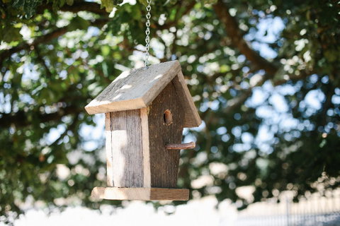 Old White Church Bed & Breakfast - Events Australia 31